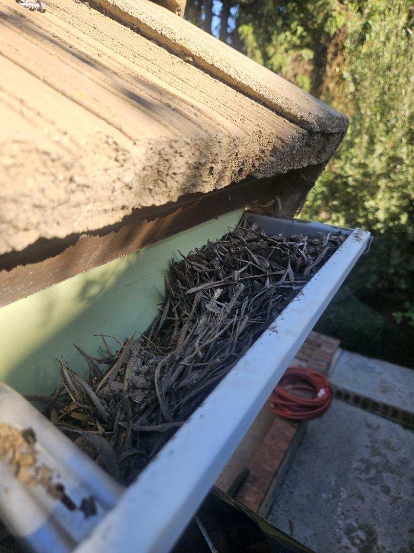 Gutter Cleaning